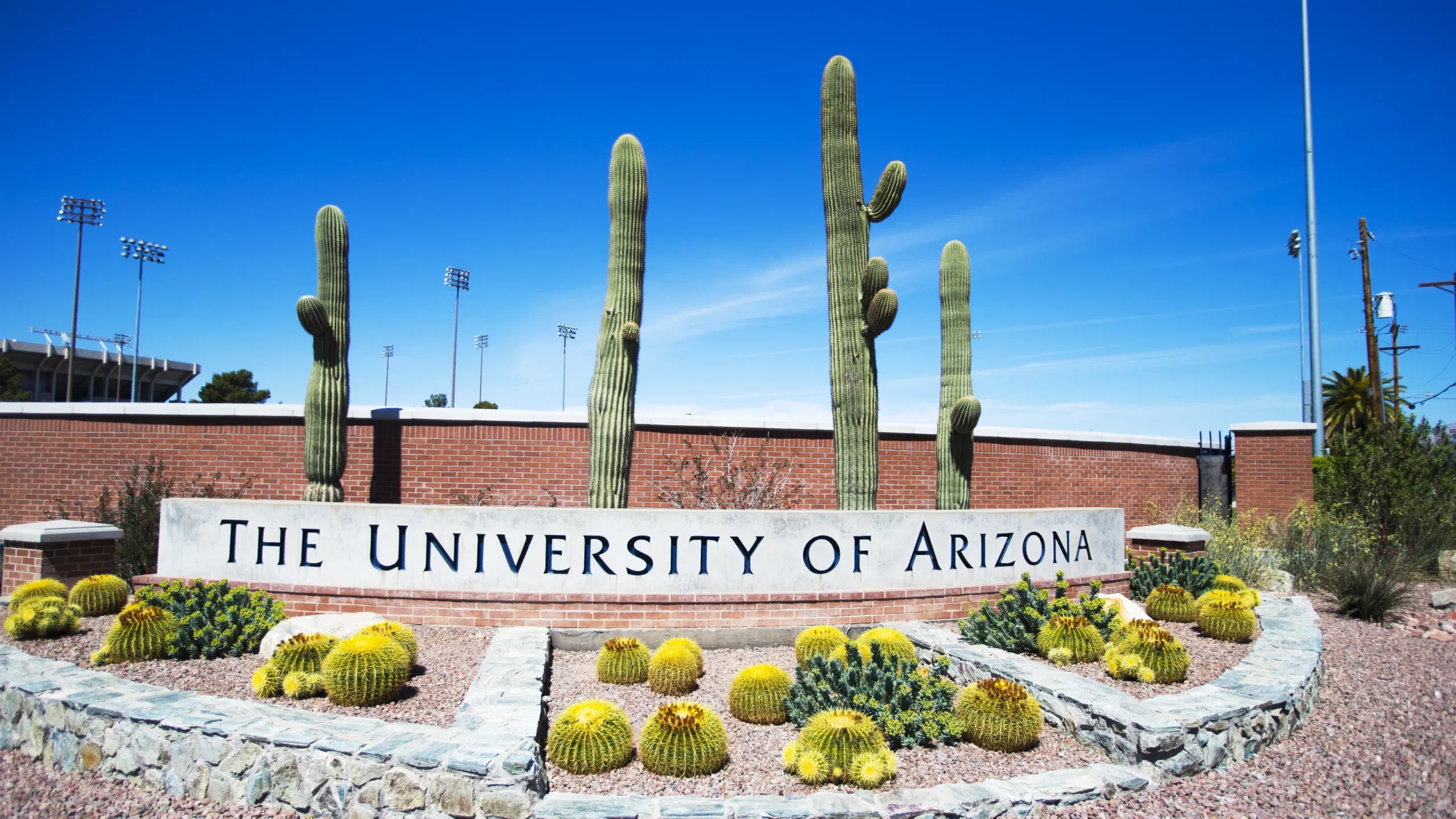 The University of Arizona