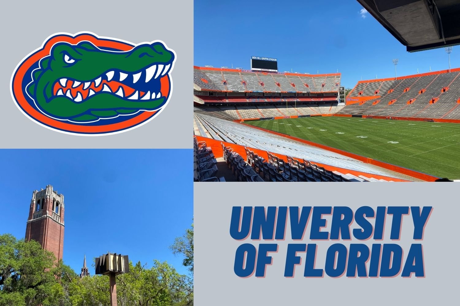 The University of Florida